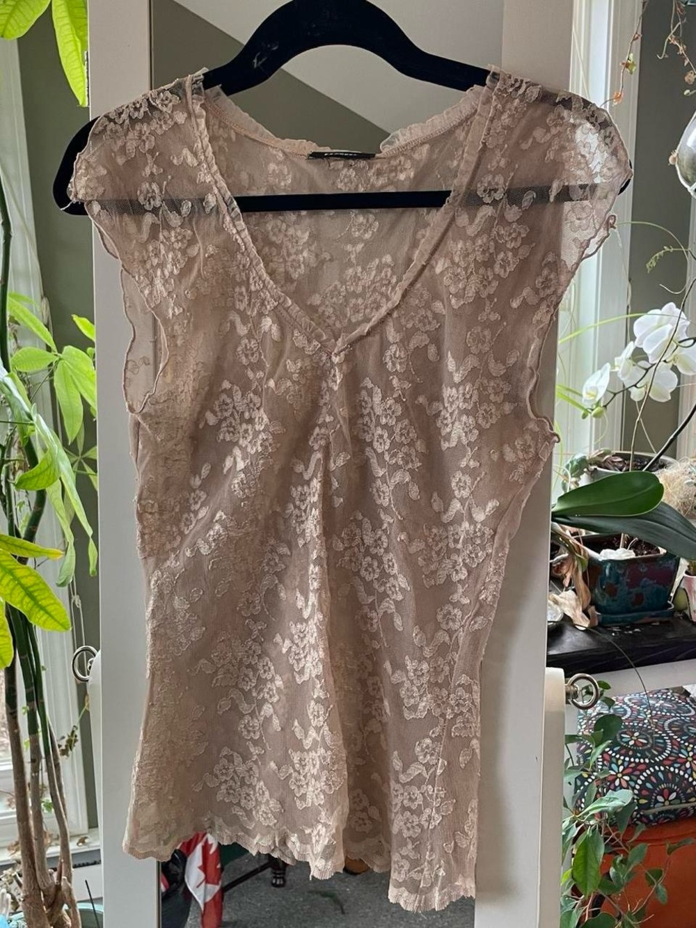 Express Lace Top